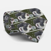 Dandy Ferret Stropdas (Opgerold)