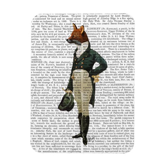 Dandy Fox Full 2 Magneet (Verticaal)