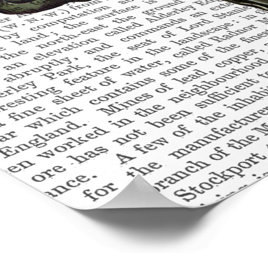 Dandy Fox Full Poster (Hoek)