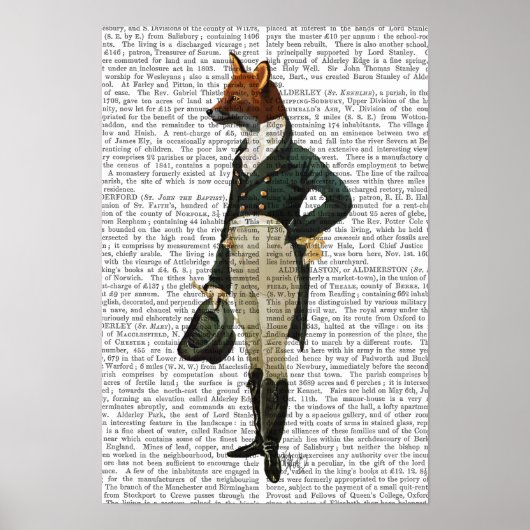 Dandy Fox Full Poster (Voorkant)