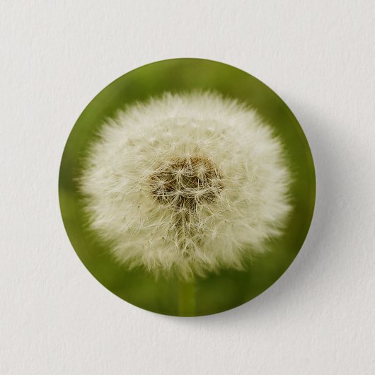 Dandy Leeuw Ronde Button 5,7 Cm (Voorkant)