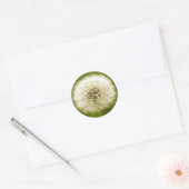 Dandy Leeuw Ronde Sticker (Envelop)