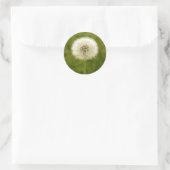 Dandy Leeuw Ronde Sticker (Tas)