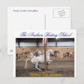 Dandy, Levade Briefkaart (Voorkant / Achterkant)