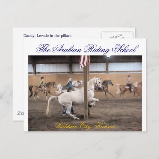 Dandy, Levade Briefkaart (Voorkant / Achterkant)