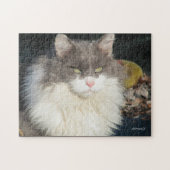 Dandy Lion Legpuzzel (Horizontaal)