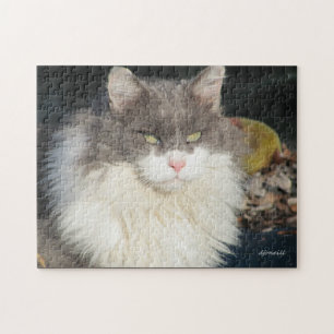 Dandy Lion Legpuzzel