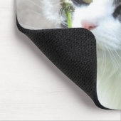 Dandy "Lion"? Muismat (Hoek)