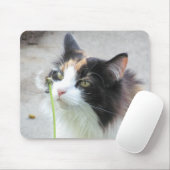 Dandy "Lion"? Muismat (Met muis)