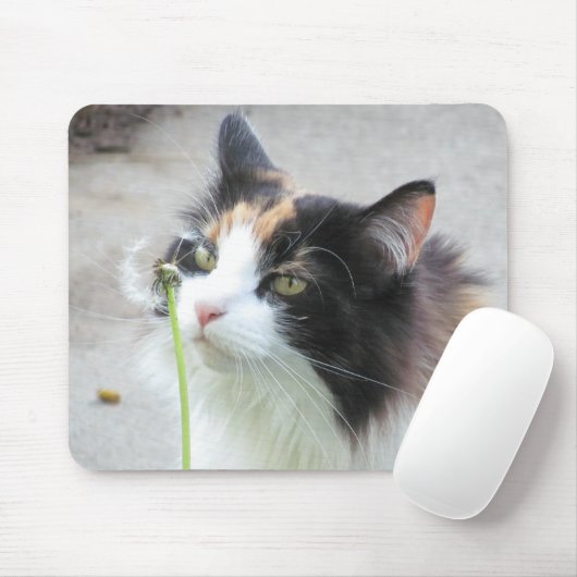 Dandy "Lion"? Muismat (Met muis)