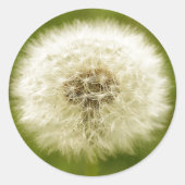 Dandy Lion Ronde Sticker (Voorkant)