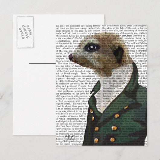 Dandy Meerkat Portrait Briefkaart (Voorkant / Achterkant)