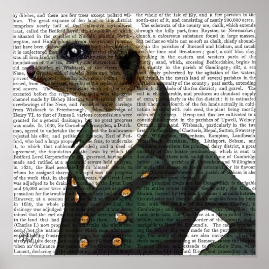 Dandy Meerkat Portrait Poster (Voorkant)