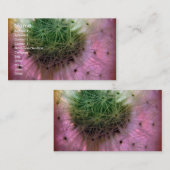 Dandy Seeds Visitekaartje (Voorkant / Achterkant)