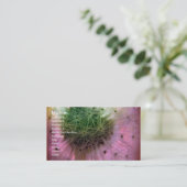 Dandy Seeds Visitekaartje (Staand voorkant)