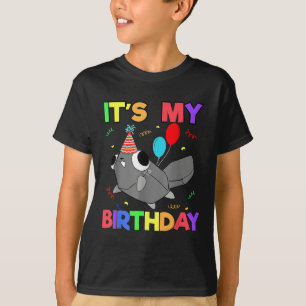 Dandys World Pebble Verjaardag Decoratie voor Kind T-shirt