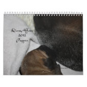 Dane Affaire - Puppies 2012 Kalender (Hoes)