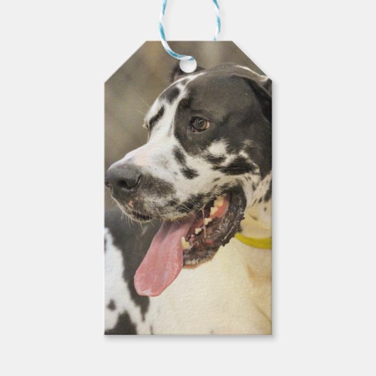 Dane Cadeaulabel (Voorkant)