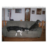 Dane Calender Kalender (Hoes)