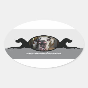 Danesticker Ovale Sticker