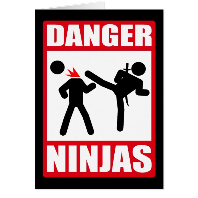 Danger Ninjas (Voorkant)