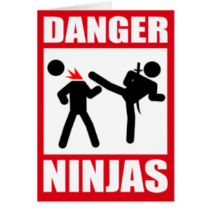 Danger Ninjas