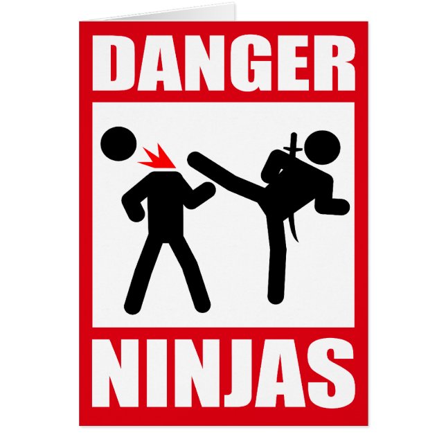 Danger Ninjas (Voorkant)