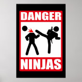 Danger Ninjas Poster (Voorkant)