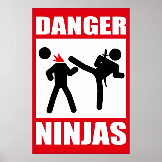 Danger Ninjas Poster (Voorkant)