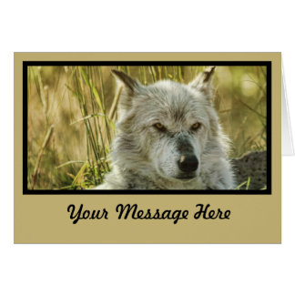 Dangereus kalm in tan