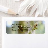 Dangling Orchid Mailing Labels (Insitu)