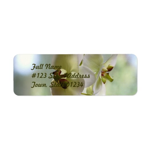 Dangling Orchid Mailing Labels (Voorkant)