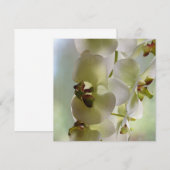 Dangling Orchid-uitnodigingen Kaart (Voorkant / Achterkant)