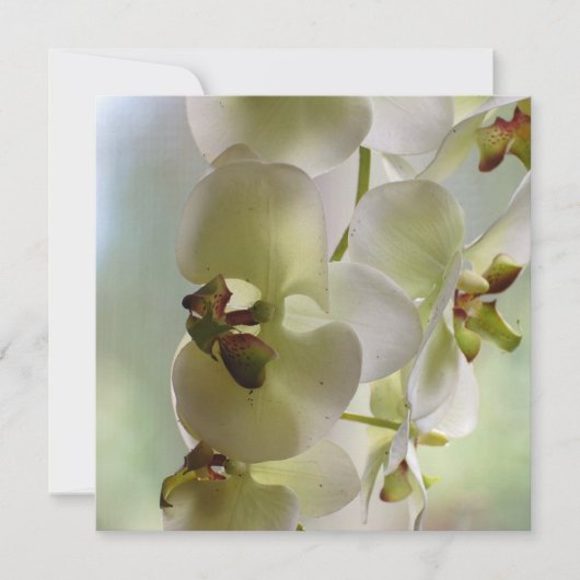 Dangling Orchid-uitnodigingen Kaart (Voorkant)