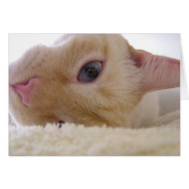 Daniel (Voorkant Horizontaal)