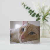 Daniel #2 briefkaart (Staand voorkant)