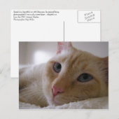 Daniel #2 briefkaart (Voorkant / Achterkant)