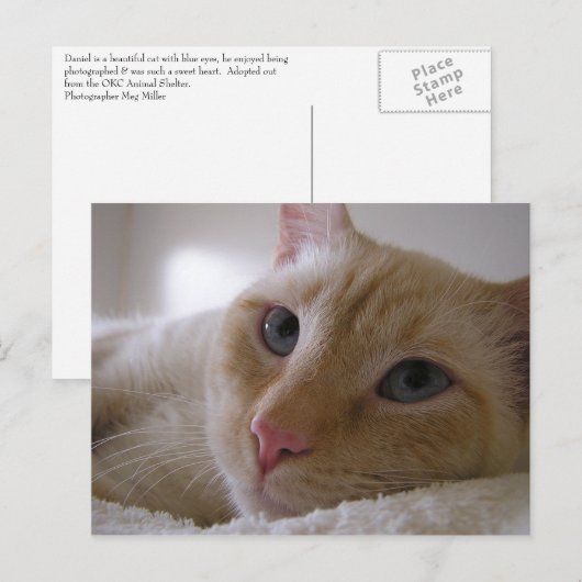 Daniel #2 briefkaart (Voorkant / Achterkant)