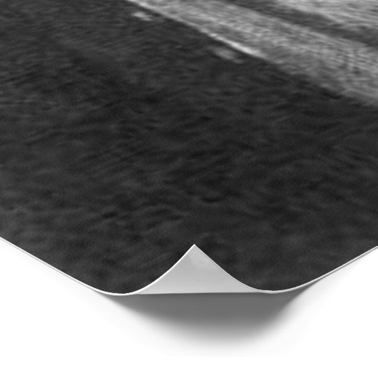 Daniel Bernoulli True Physics Quote Gifts & Car Poster (Hoek)