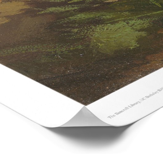 Daniel Boone (1251) Poster (Hoek)