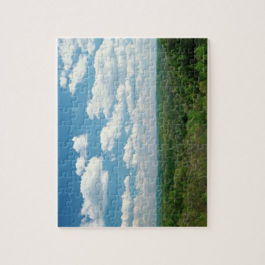 Daniel Boone National Forest, Cumberland SP, Legpuzzel (Verticaal)