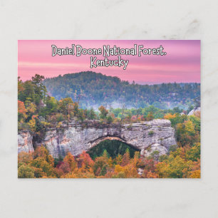 Daniel Boone National Forest Kentucky Briefkaart