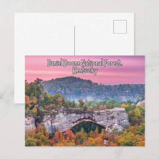 Daniel Boone National Forest Kentucky Briefkaart (Voorkant / Achterkant)