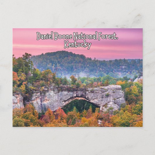 Daniel Boone National Forest Kentucky Briefkaart (Voorkant)