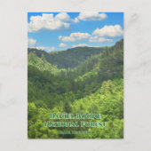 Daniel Boone National Forest uitzicht op Kentucky Briefkaart (Voorkant)