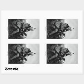 Daniel Boone Rechthoekige Sticker (Vel)