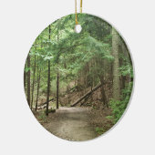 Daniel Boone Wilderness Trail, Cumberland Gap TN Keramisch Ornament (Links)