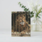 Daniel Hernández Morillo: Op de leeuwenkooi Briefkaart (Staand voorkant)