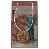 Daniel in de Den Haag van de Lion Klein Cadeauzakje (Voorkant)