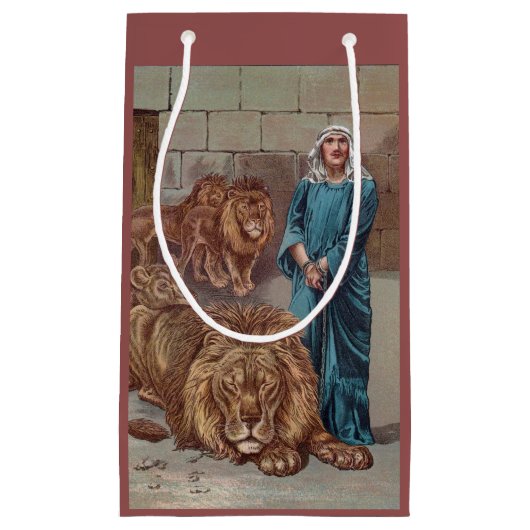 Daniel in de Den Haag van de Lion Klein Cadeauzakje (Voorkant)